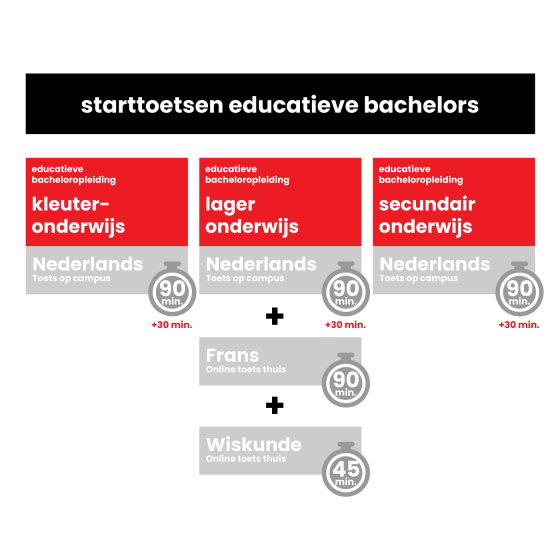 infographic over de starttoets lerarenopleiding Vlaamse overheid